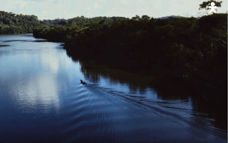 vivo-dia-da-amazonia-qwalhsnr8o0juppsvcdsrsasx645x5ish1a1iousg8 Home V3