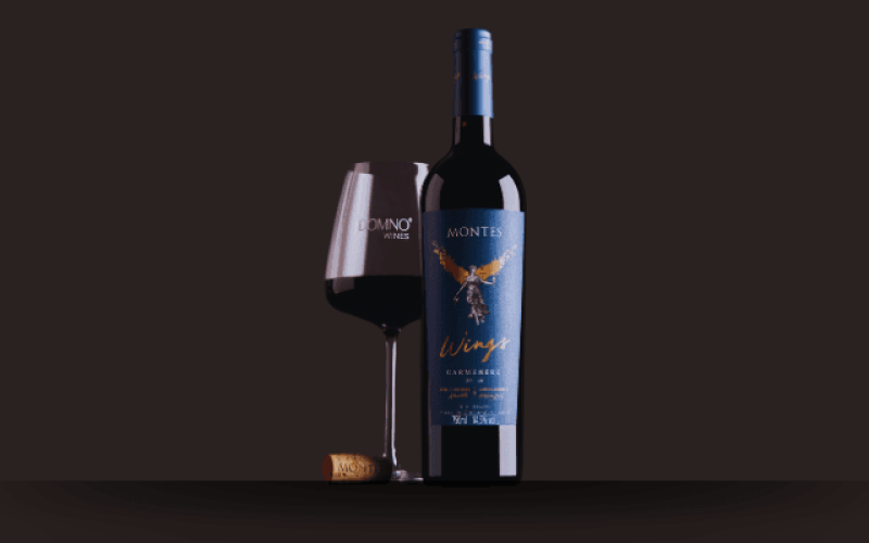 wine-carmenere-valduga-qw8ubro53v1jwcv9ldshimn7wmi9yfsghn7adkktqg Home V3