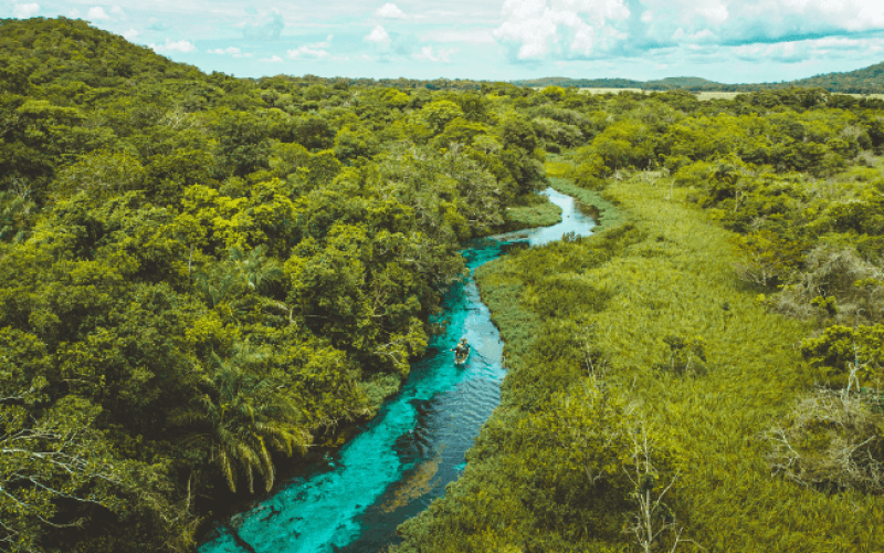 xiaomi_bonito_ms_mato-grosso-do-sul-riq22x26t7cp2wxh6vno2g4vcv0f1yecyaiwy0nmvc Home V3